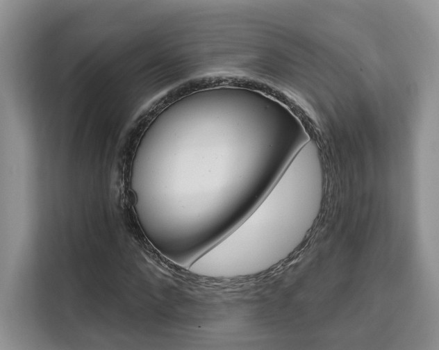 X0000111520872200907141234
