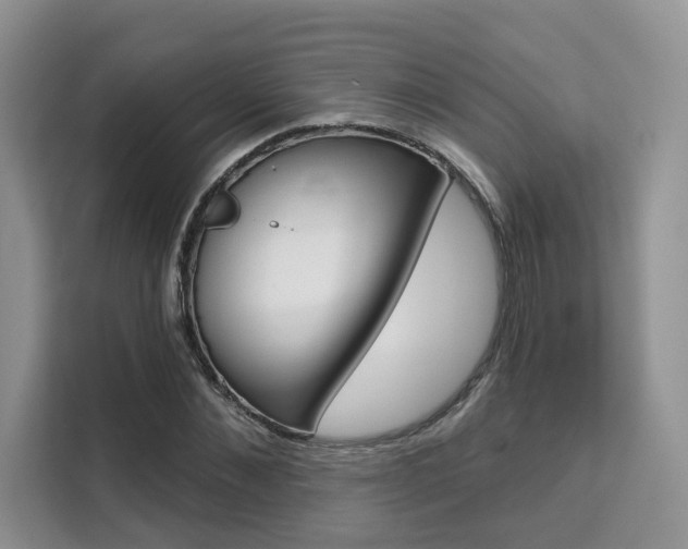 X0000111520876200907141234