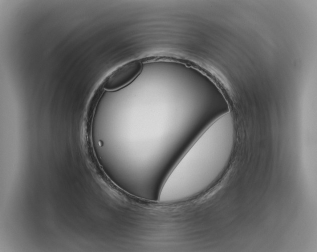 X0000111520880200907141234