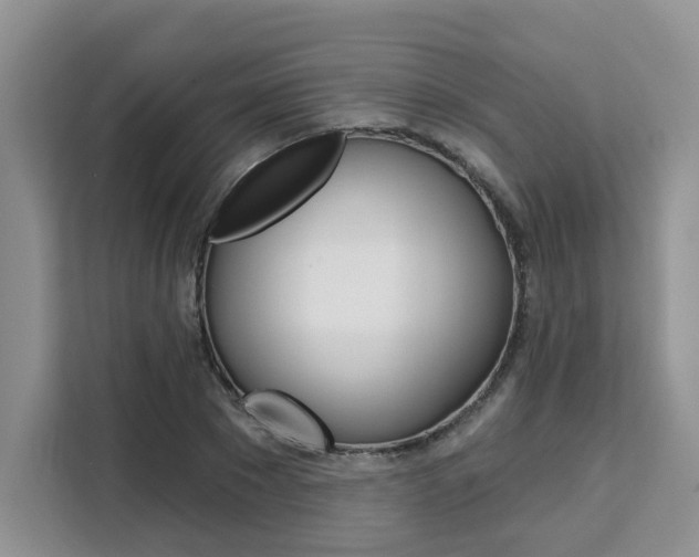 X0000111520881200907141234