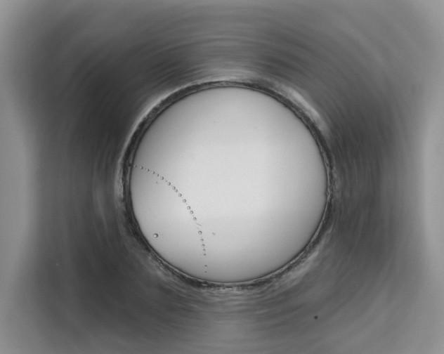 X0000111520883200907141234