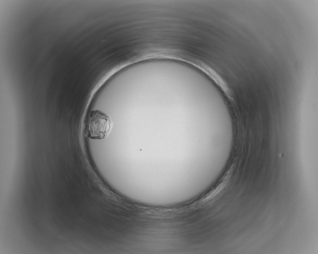 X0000111520885200907141234
