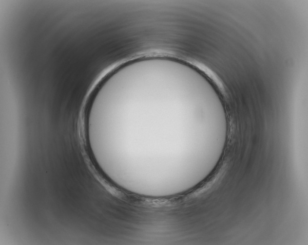 X0000111520886200907141234