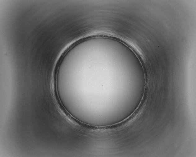 X0000111520888200907141234