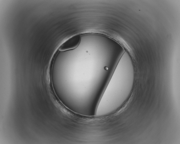 X0000111520892200907141234
