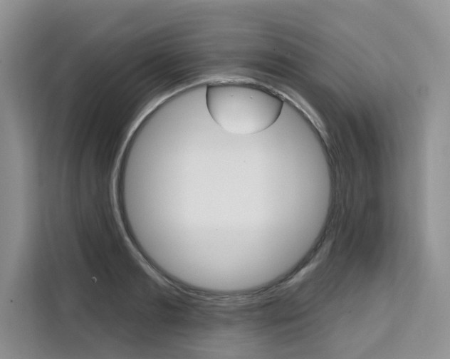 X0000111520893200907141234