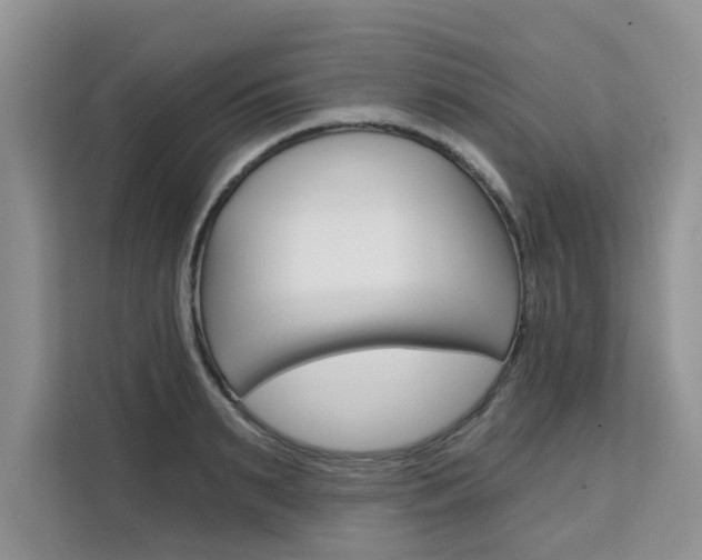 X0000111520895200907141234