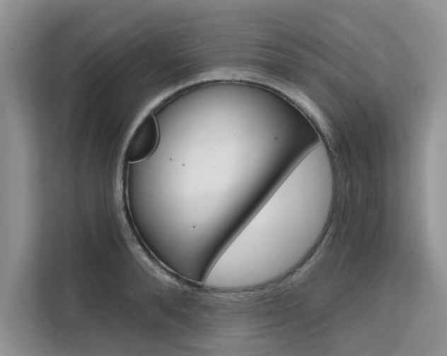 X0000111520896200907141234