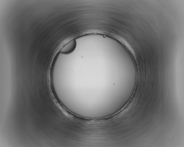 X0000111520898200907141234