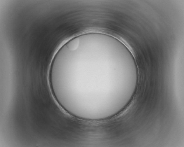 X0000111520901200907141234