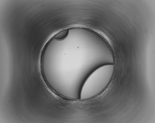 X0000111520902200907141234