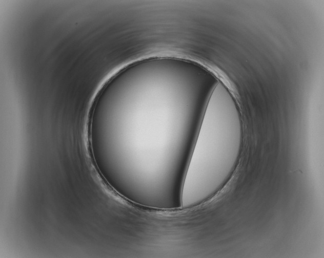 X0000111520904200907141234