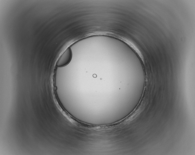 X0000111520906200907141234