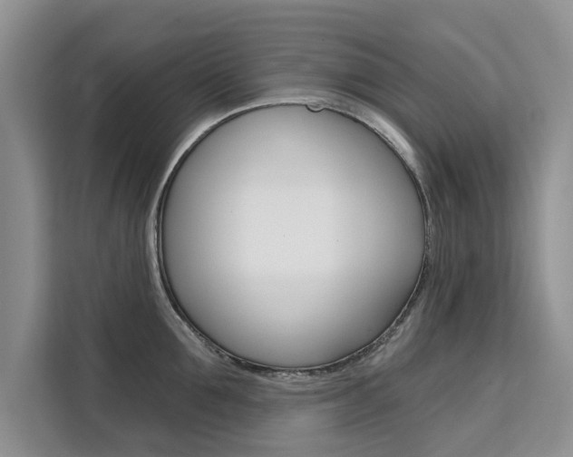 X0000111520907200907141234