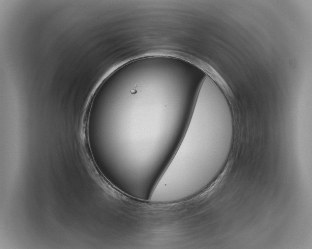 X0000111520908200907141234