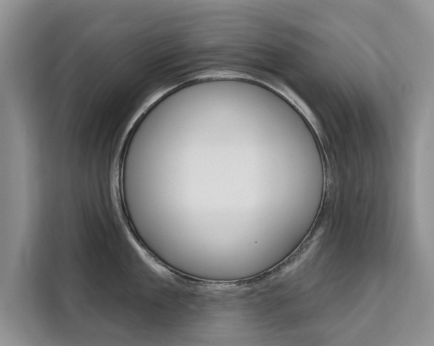 X0000111520909200907141234