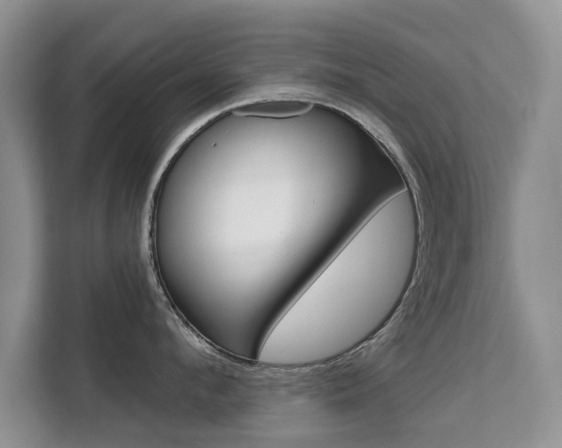 X0000111520912200907141234
