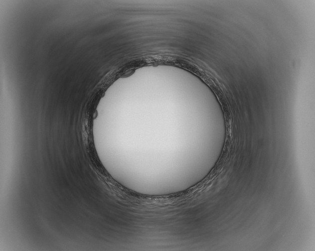 X0000111520915200907141233