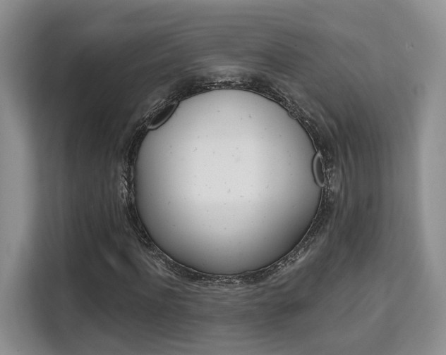 X0000111520916200907141233