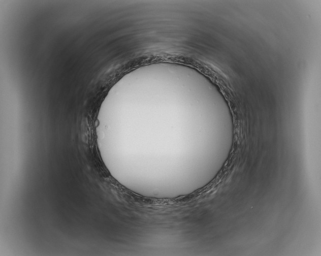 X0000111520917200907141233