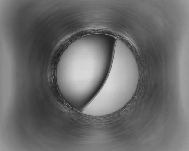 X0000111520920200907141233