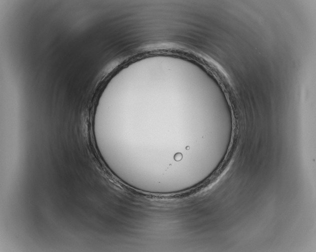 X0000111520921200907141233