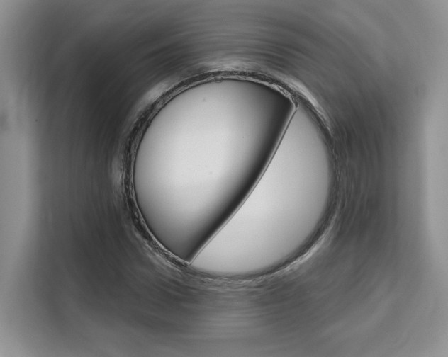X0000111520922200907141233