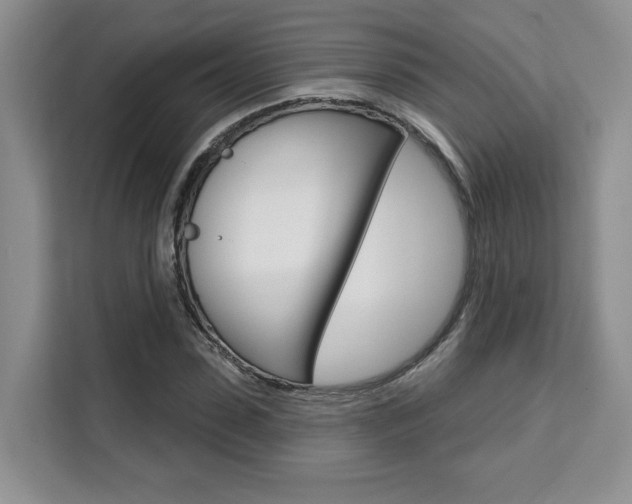 X0000111520923200907141233