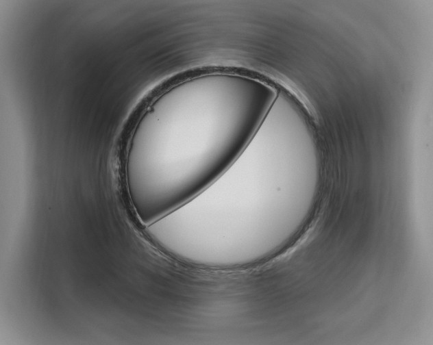 X0000111520926200907141233