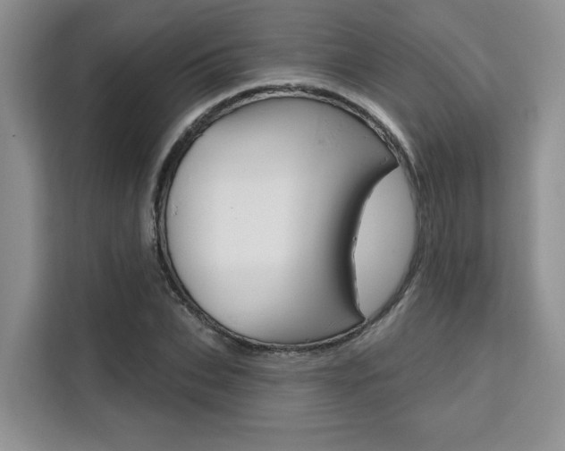X0000111520927200907141233