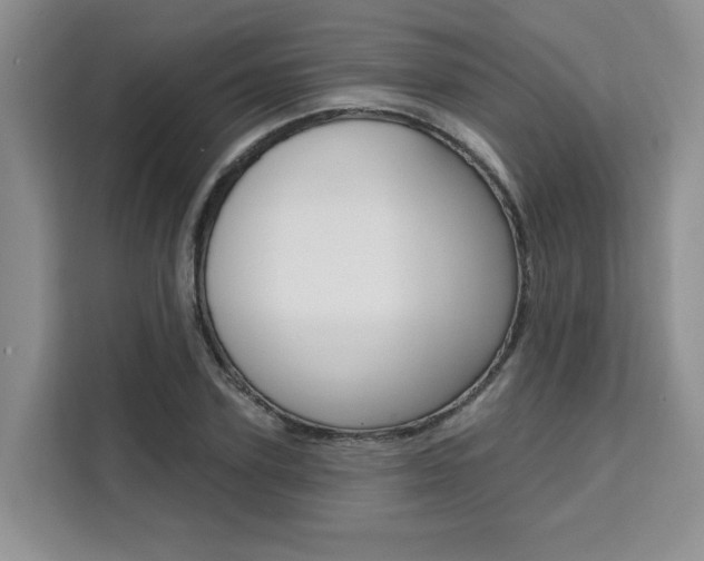 X0000111520931200907141233