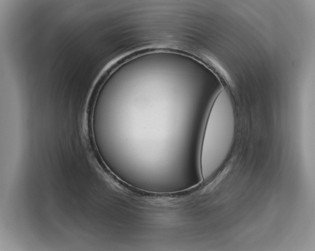 X0000111520932200907141233