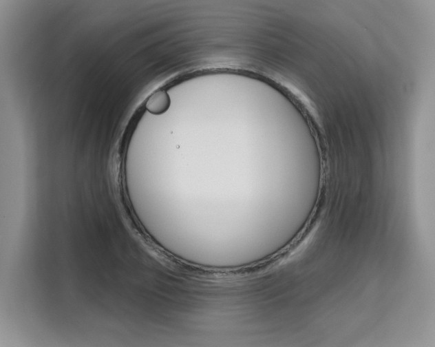 X0000111520933200907141233