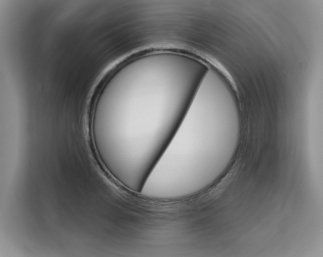 X0000111520935200907141233