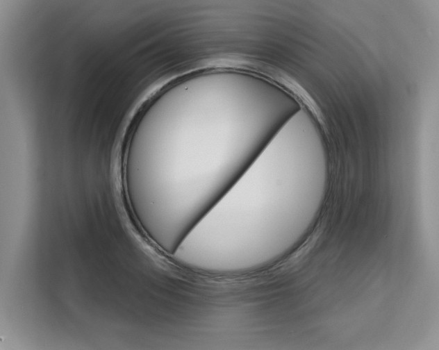 X0000111520939200907141233
