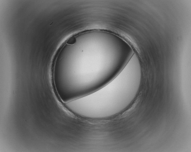 X0000111520942200907141233
