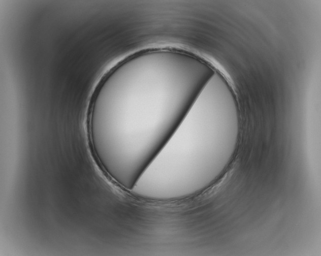 X0000111520943200907141233