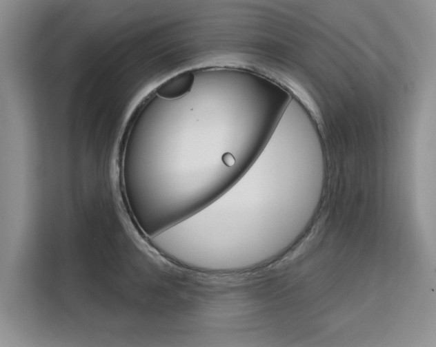 X0000111520944200907141233