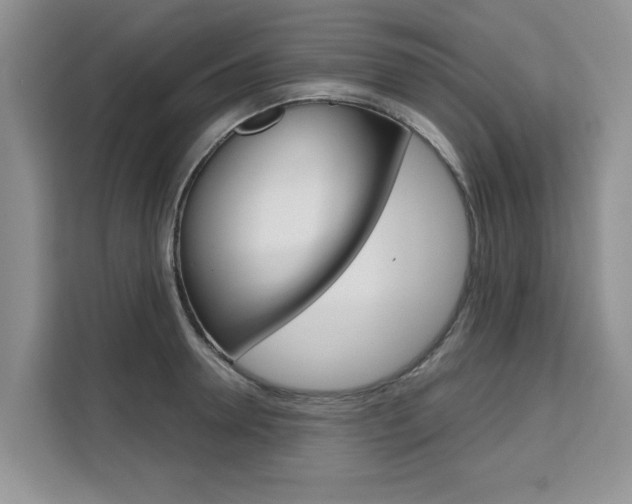 X0000111520946200907141233