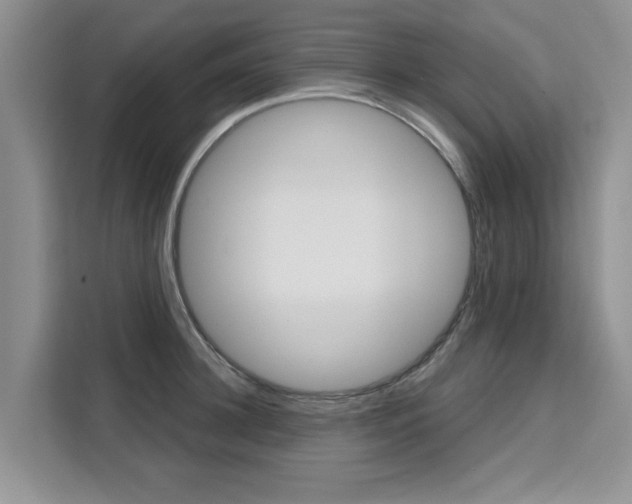 X0000111520948200907141233