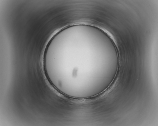 X0000111520949200907141233