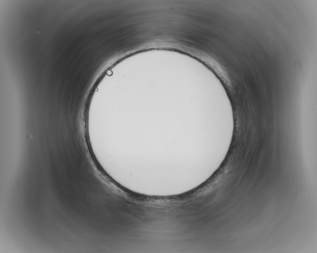 X0000111520950200907141233