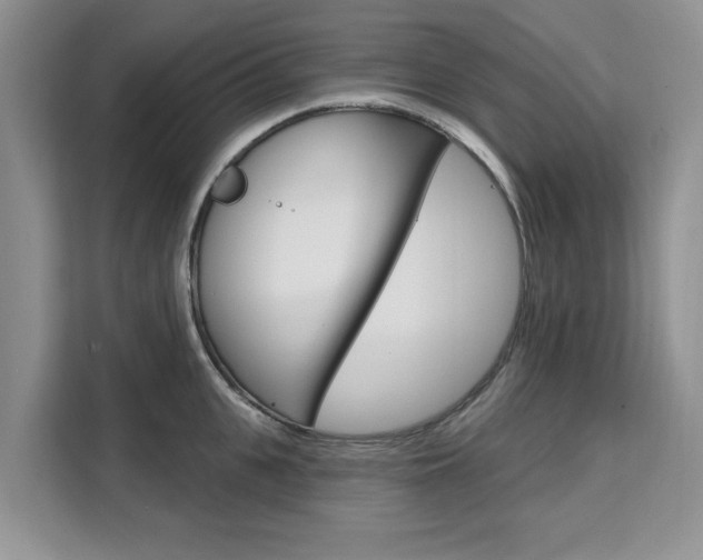 X0000111520951200907141233