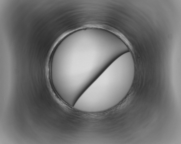 X0000111520955200907141233