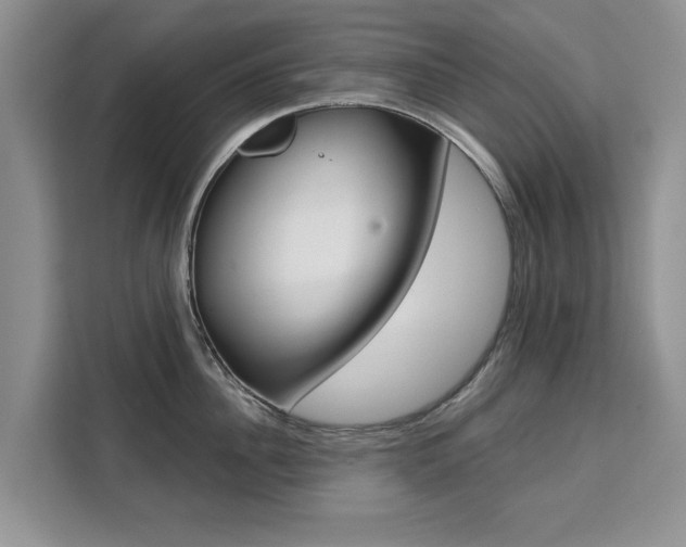 X0000111520956200907141233