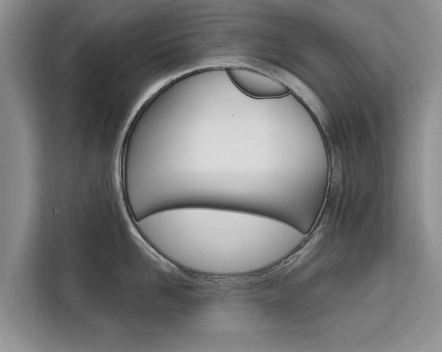 X0000111520958200907141233