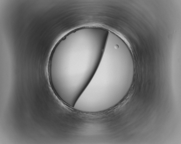 X0000111520959200907141234