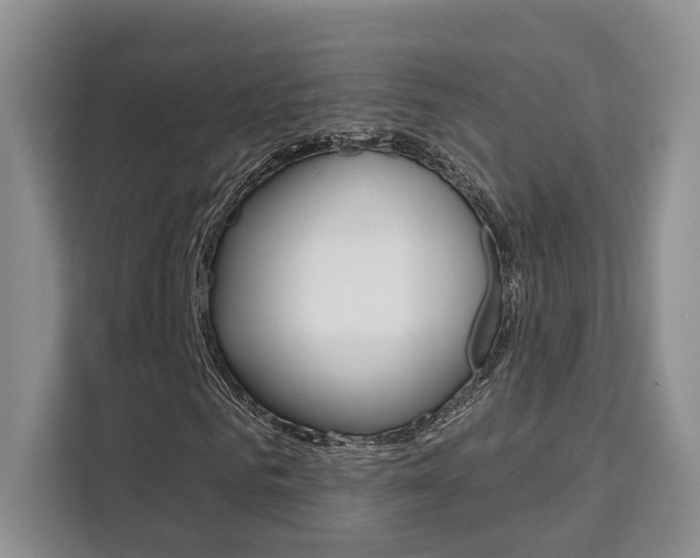 X0000111520961200907141233