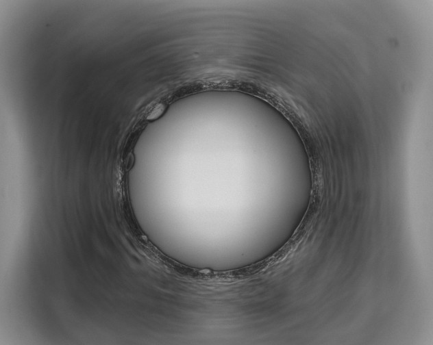 X0000111520964200907141233