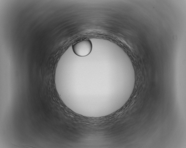 X0000111520965200907141233